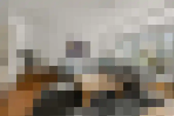 Karmelietenstraat 12 Assendelft thumbnail 6