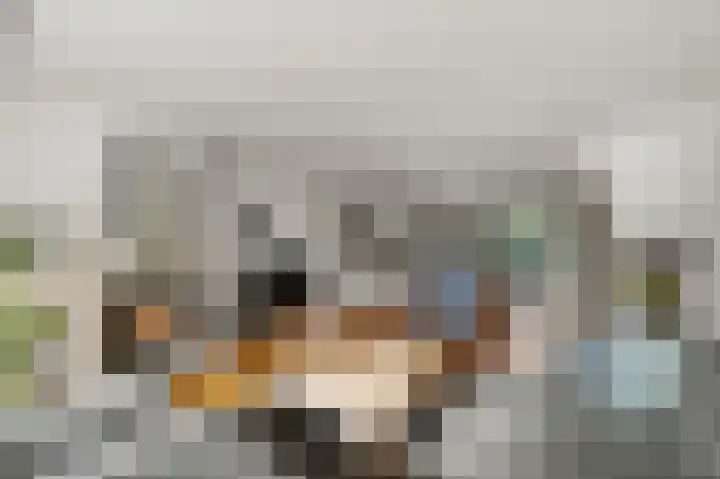 Karmelietenstraat 12 Assendelft thumbnail 7