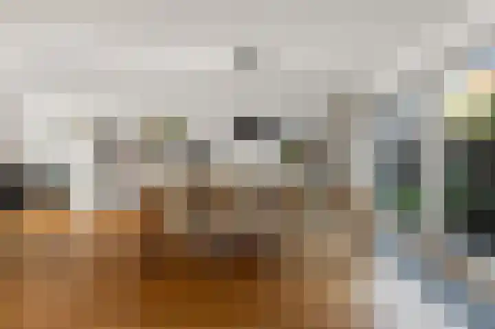 Karmelietenstraat 12 Assendelft thumbnail 8
