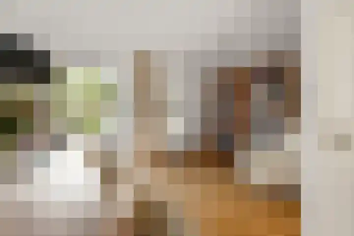 Karmelietenstraat 12 Assendelft thumbnail 9