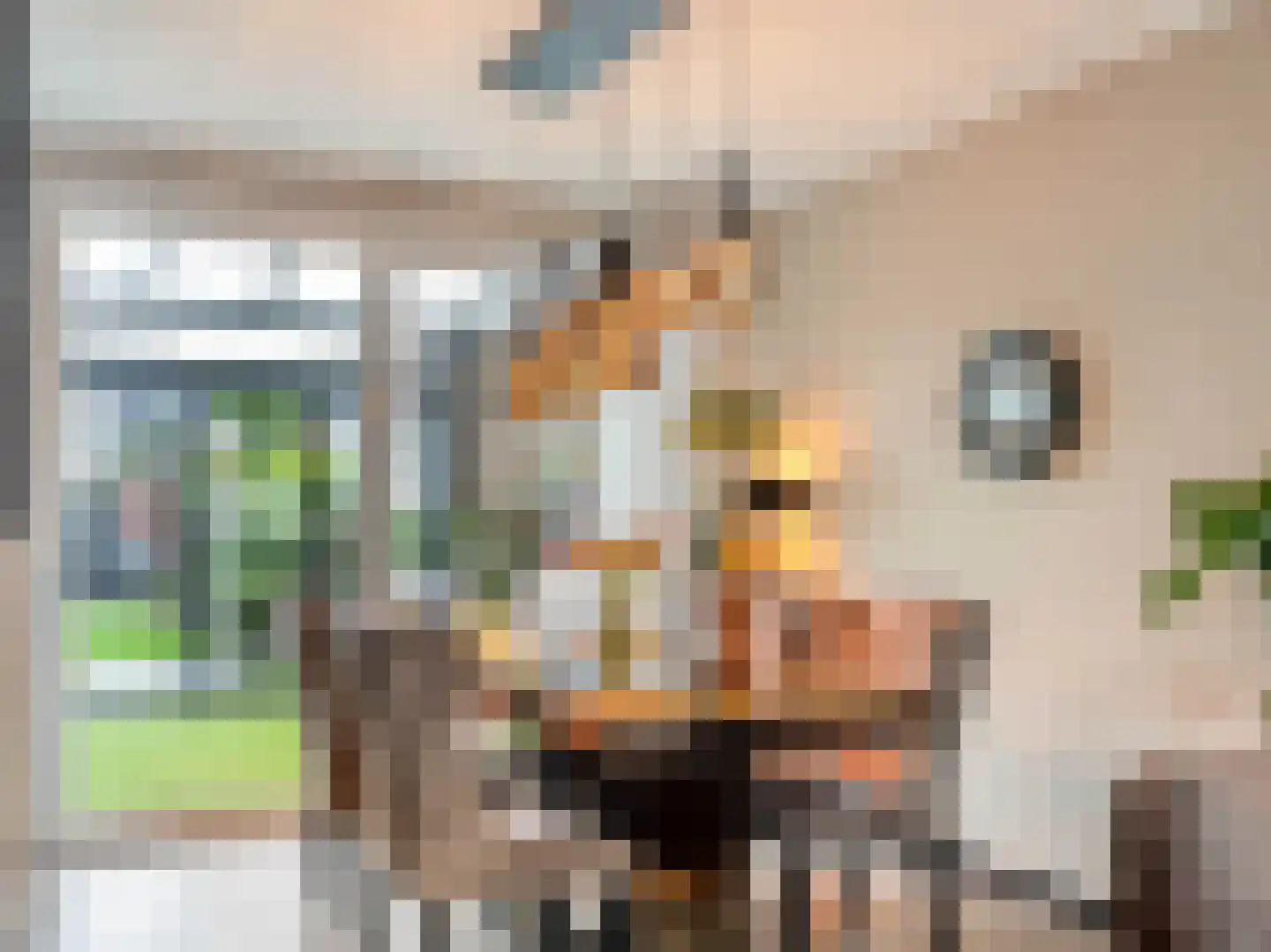 Karmelietenstraat 12 Dongen thumbnail 10