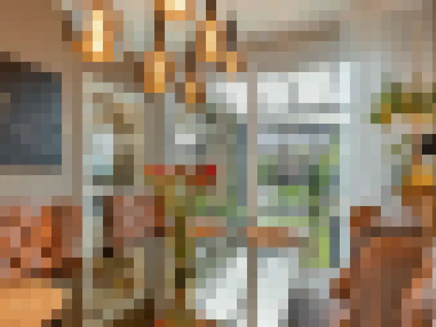 Karmelietenstraat 12 Dongen thumbnail 11