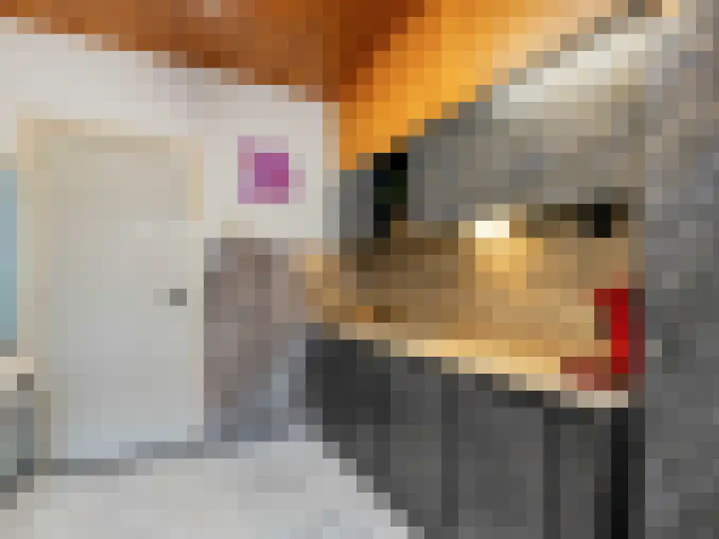 Karmelietenstraat 12 Dongen thumbnail 12