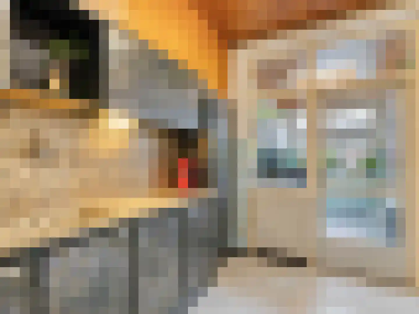 Karmelietenstraat 12 Dongen thumbnail 13