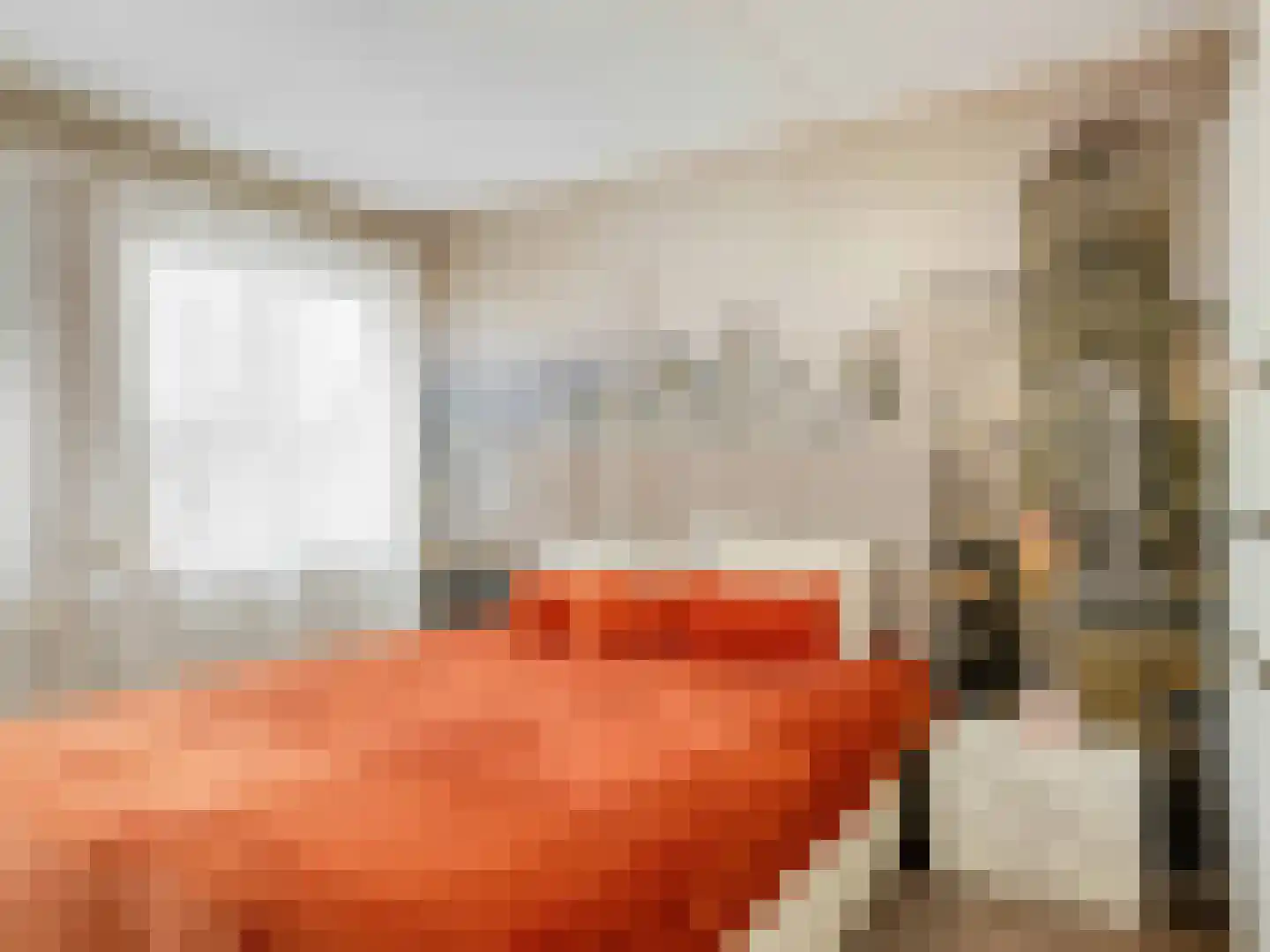 Karmelietenstraat 12 Dongen thumbnail 17