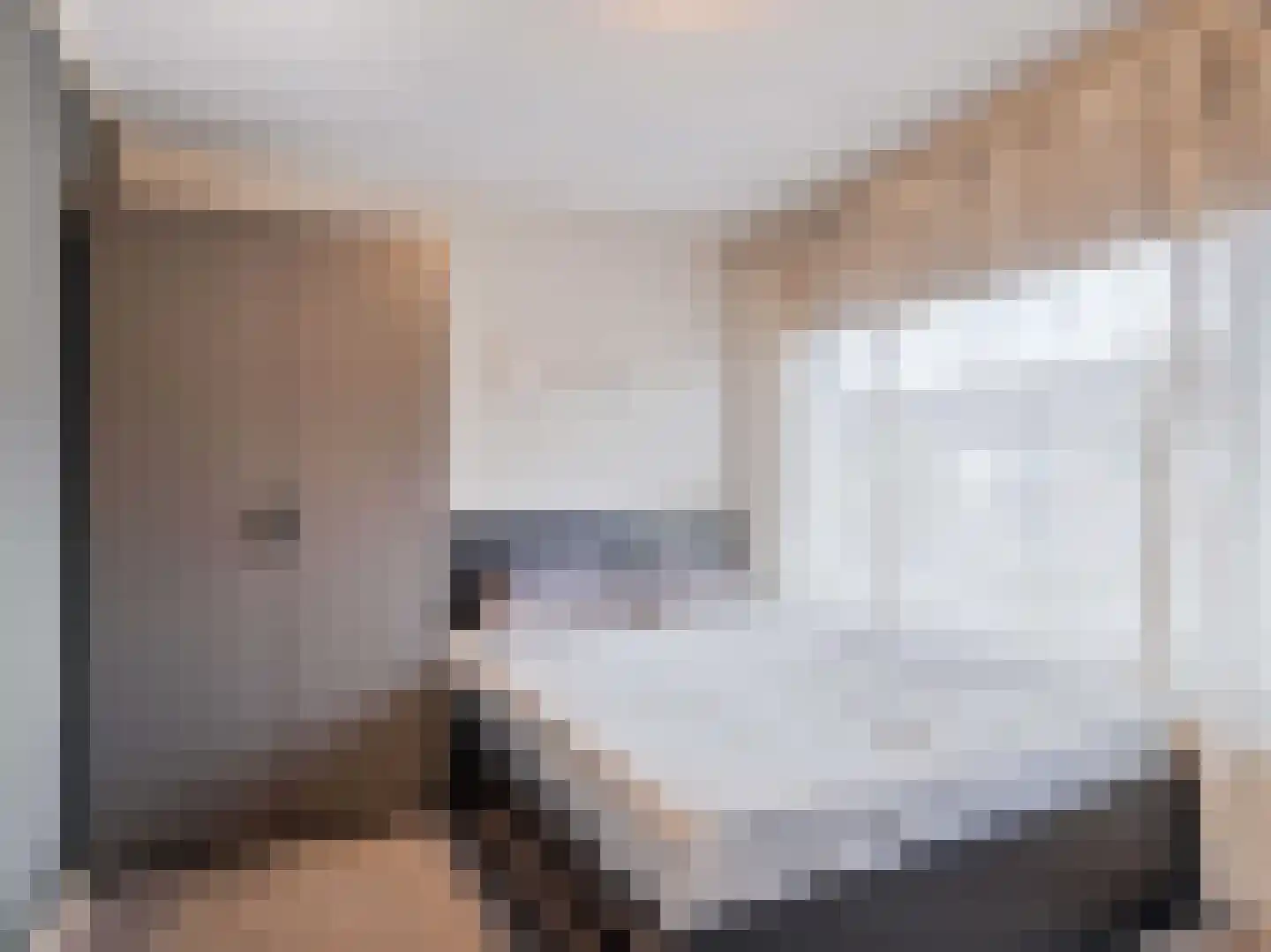 Karmelietenstraat 12 Dongen thumbnail 20
