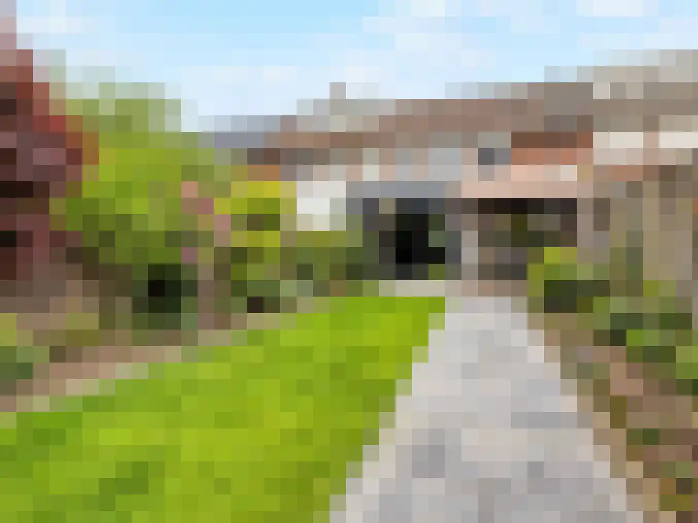 Karmelietenstraat 12 Dongen thumbnail 29