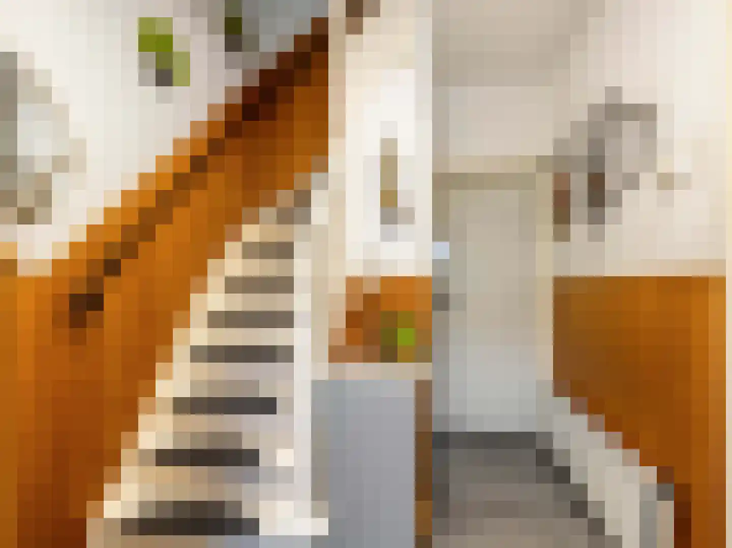 Karmelietenstraat 12 Dongen thumbnail 5