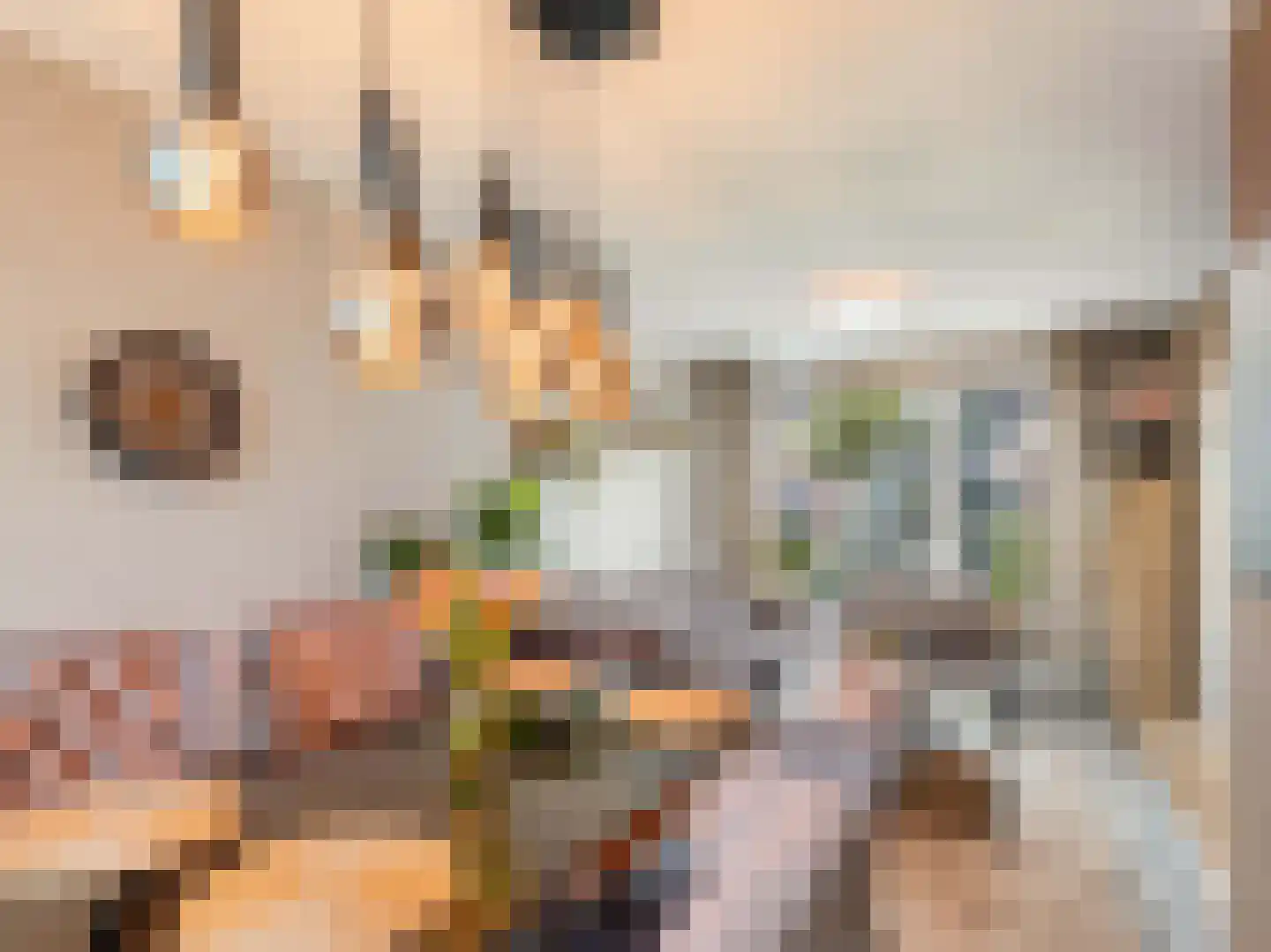 Karmelietenstraat 12 Dongen thumbnail 6