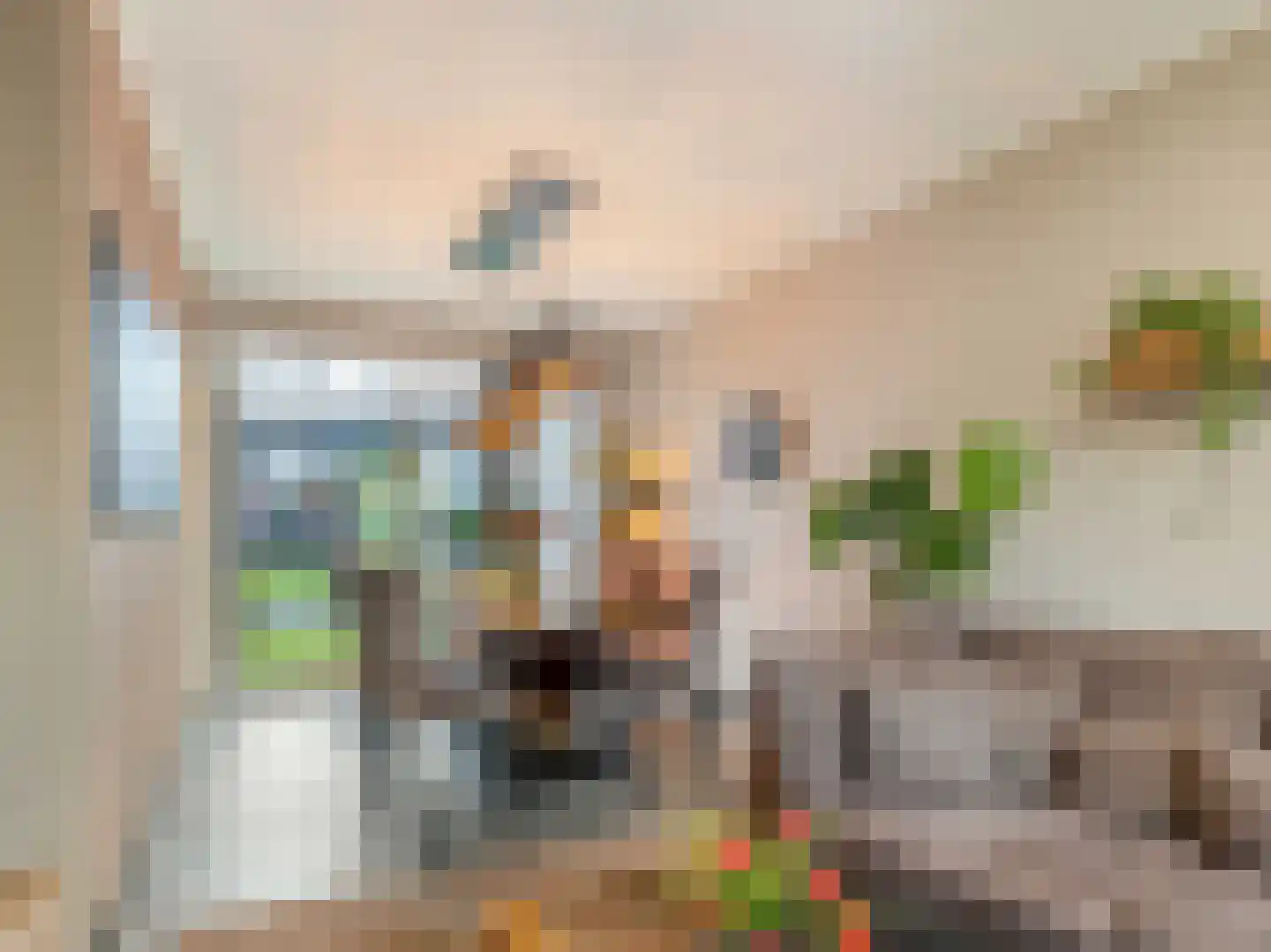Karmelietenstraat 12 Dongen thumbnail 8