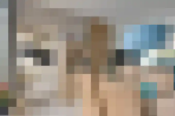 Karmelietenstraat 2 Dongen thumbnail 13