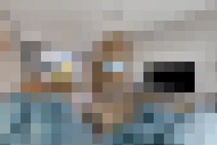 Karmelietenstraat 2 Dongen thumbnail 17