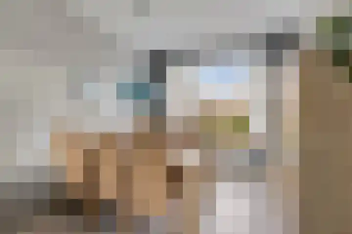 Karmelietenstraat 2 Dongen thumbnail 18