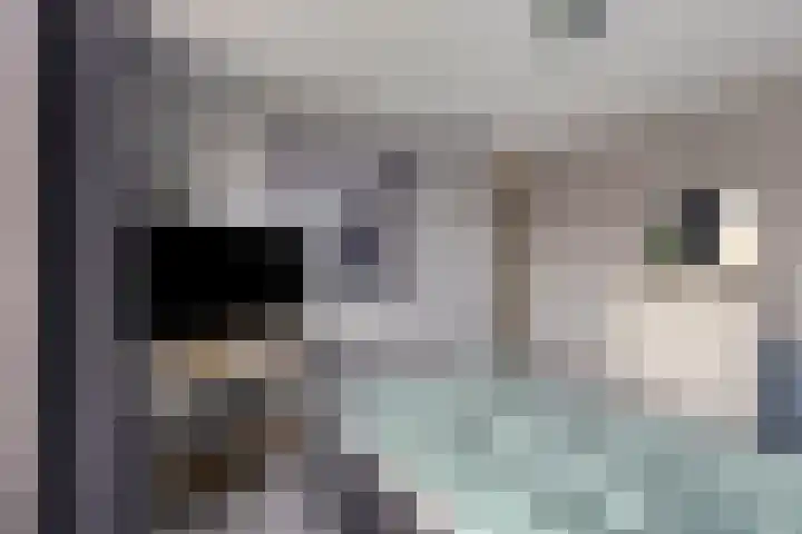 Karmelietenstraat 2 Dongen thumbnail 23