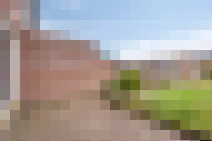Karmelietenstraat 2 Dongen thumbnail 28