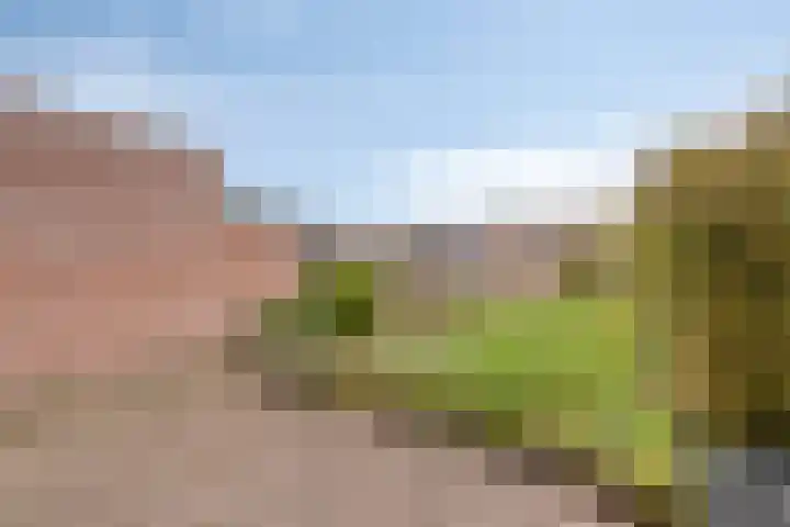 Karmelietenstraat 2 Dongen thumbnail 29