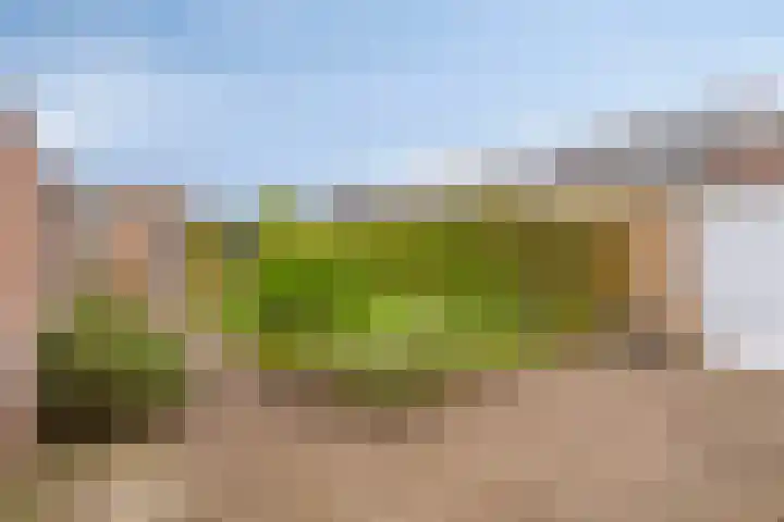 Karmelietenstraat 2 Dongen thumbnail 30
