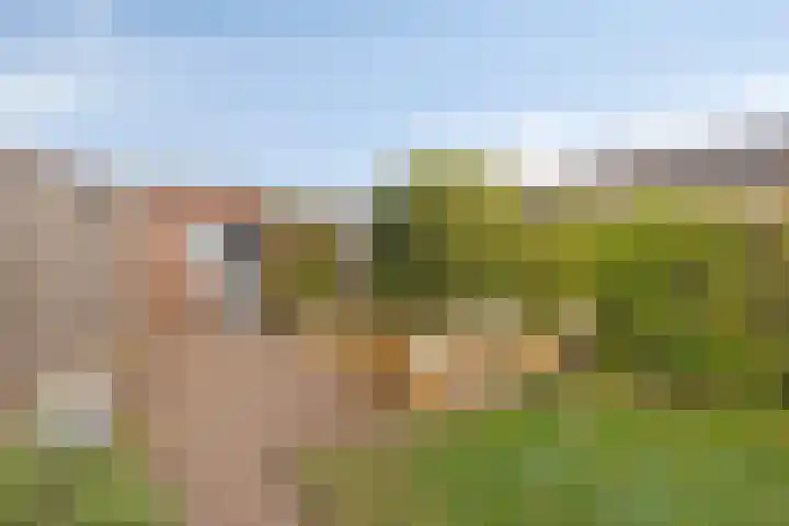 Karmelietenstraat 2 Dongen thumbnail 31