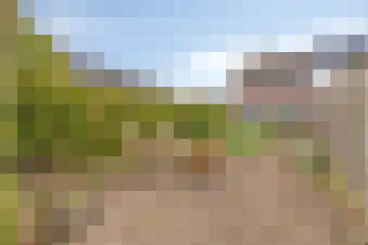 Karmelietenstraat 2 Dongen thumbnail 32