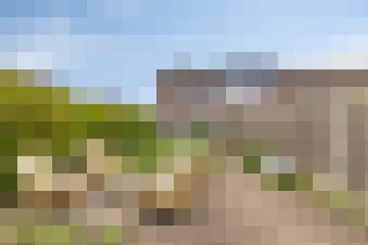 Karmelietenstraat 2 Dongen thumbnail 33