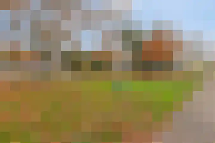 Karmelietenstraat 2 Dongen thumbnail 34