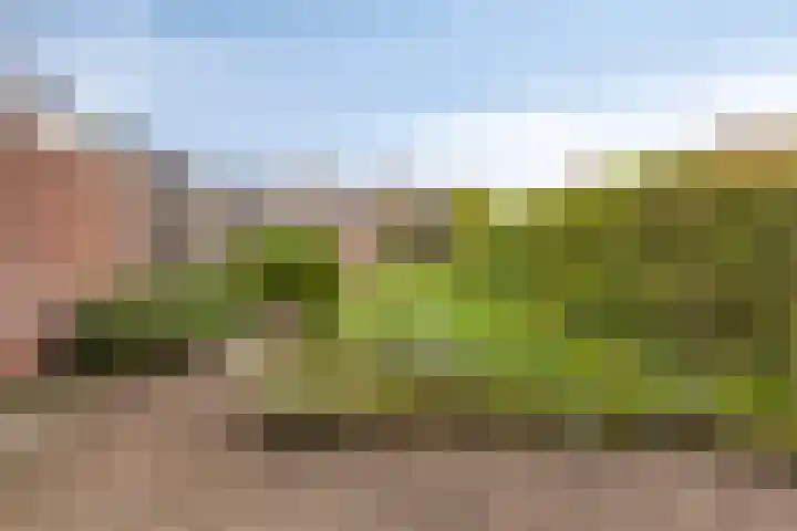 Karmelietenstraat 2 Dongen thumbnail 6