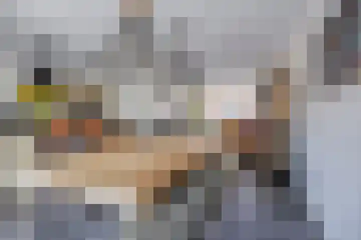 Karmelietenstraat 44 Tilburg thumbnail 11
