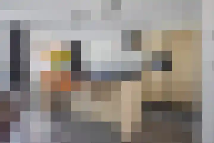 Karmelietenstraat 44 Tilburg thumbnail 13