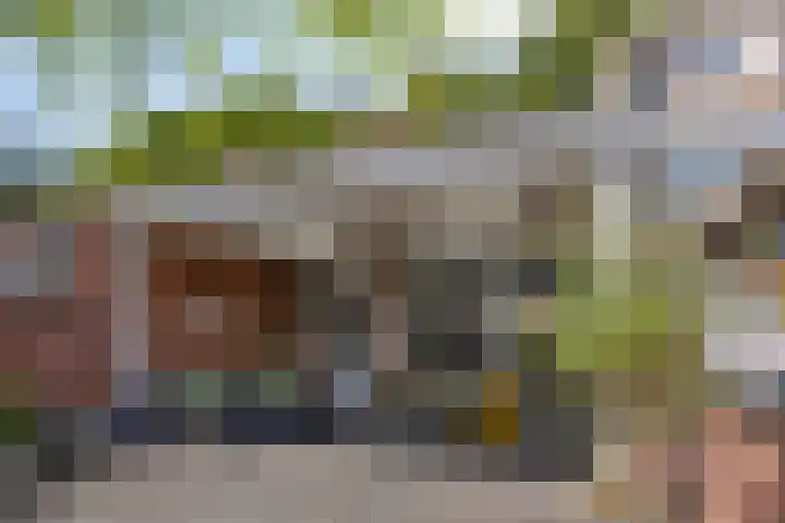 Karmelietenstraat 44 Tilburg thumbnail 4