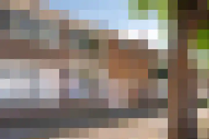Karmelietenstraat 44 Tilburg thumbnail 5