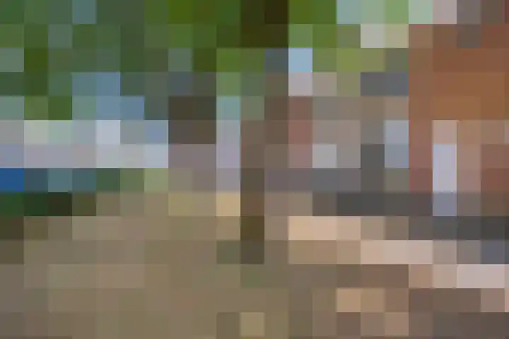 Karmelietenstraat 44 Tilburg thumbnail 6