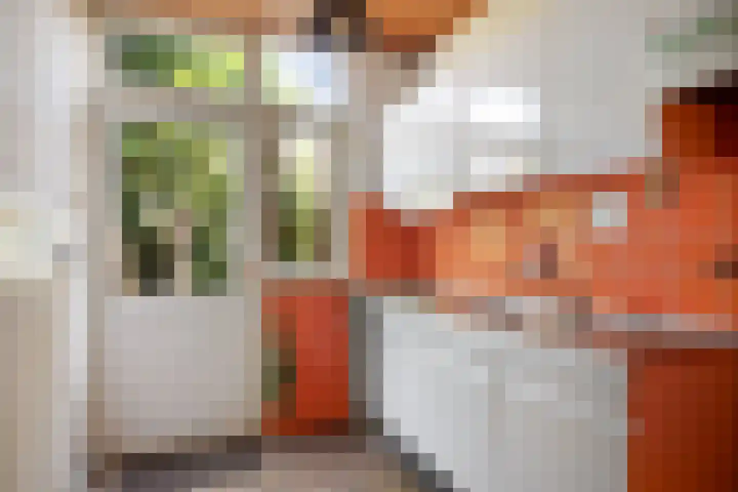 Karmelietenstraat 48 Tilburg thumbnail 12