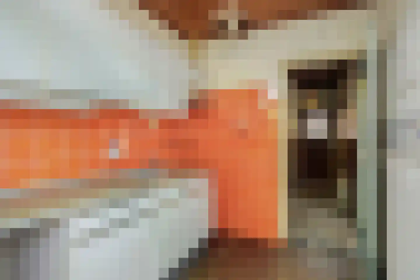 Karmelietenstraat 48 Tilburg thumbnail 13