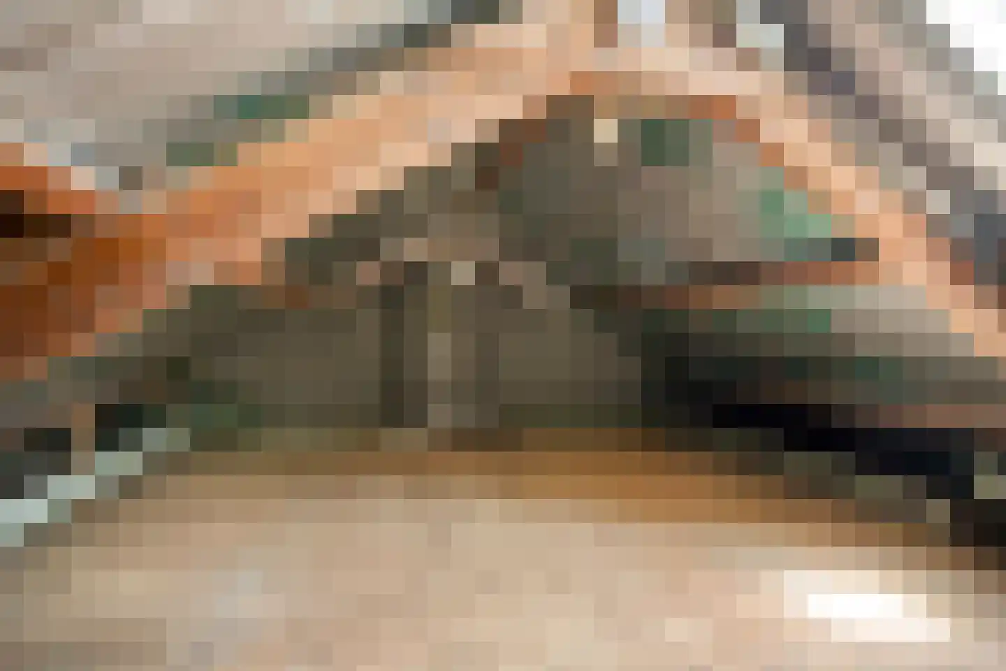 Karmelietenstraat 48 Tilburg thumbnail 26