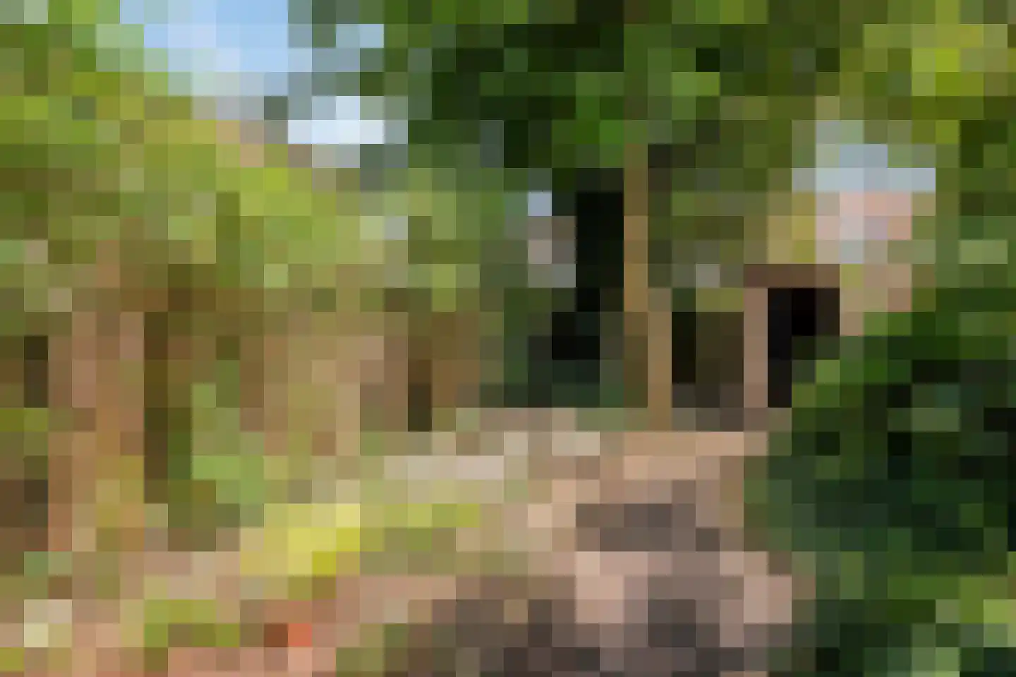 Karmelietenstraat 48 Tilburg thumbnail 28