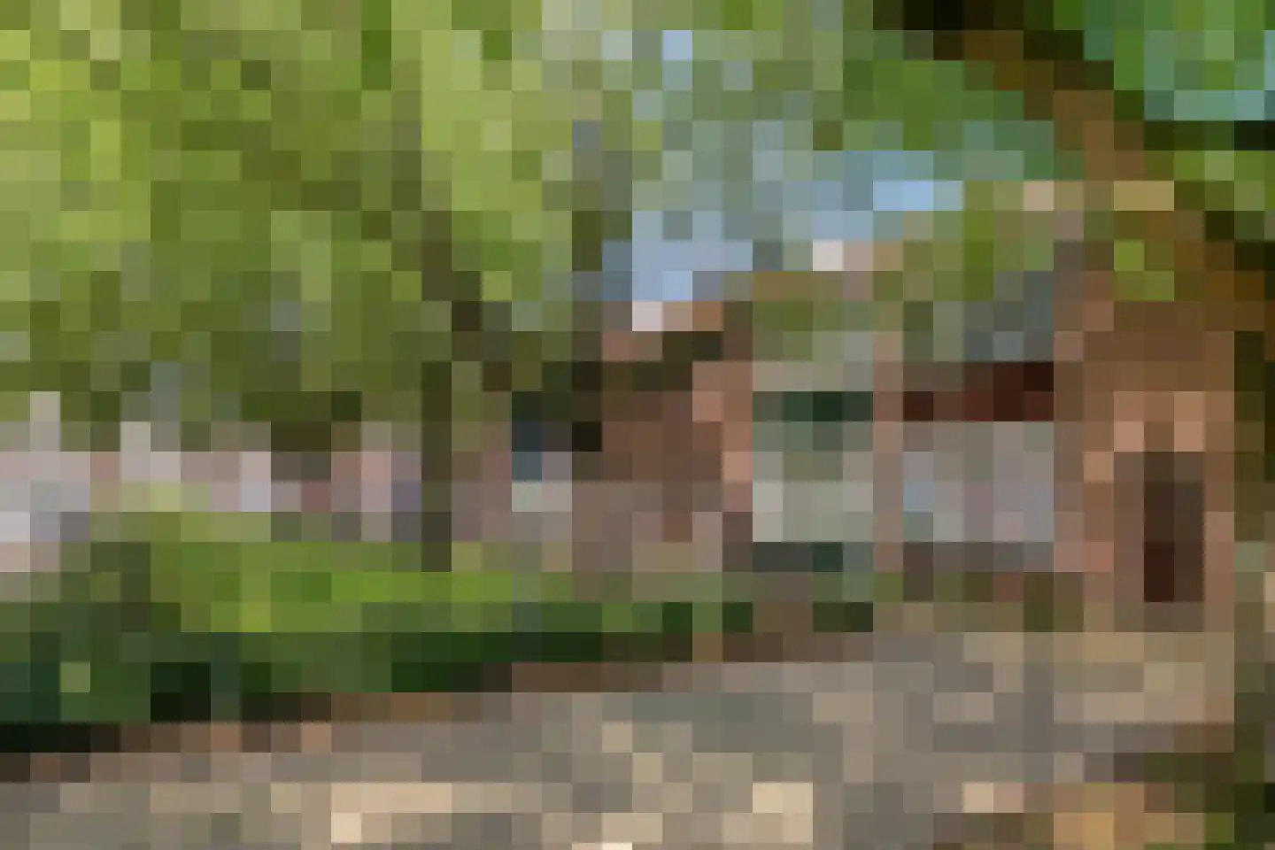 Karmelietenstraat 48 Tilburg thumbnail 32