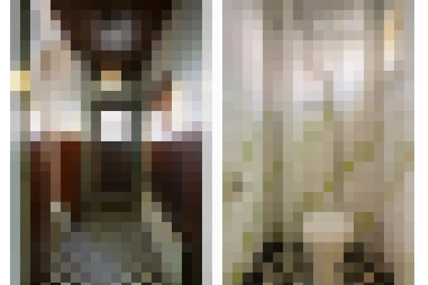 Karmelietenstraat 48 Tilburg thumbnail 6