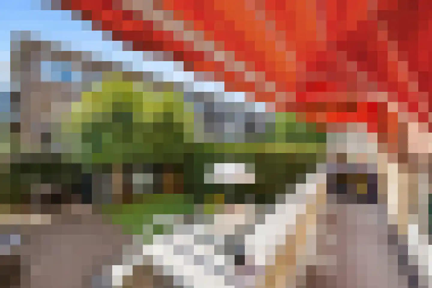 Karmelweg 1 A Rotterdam thumbnail 22