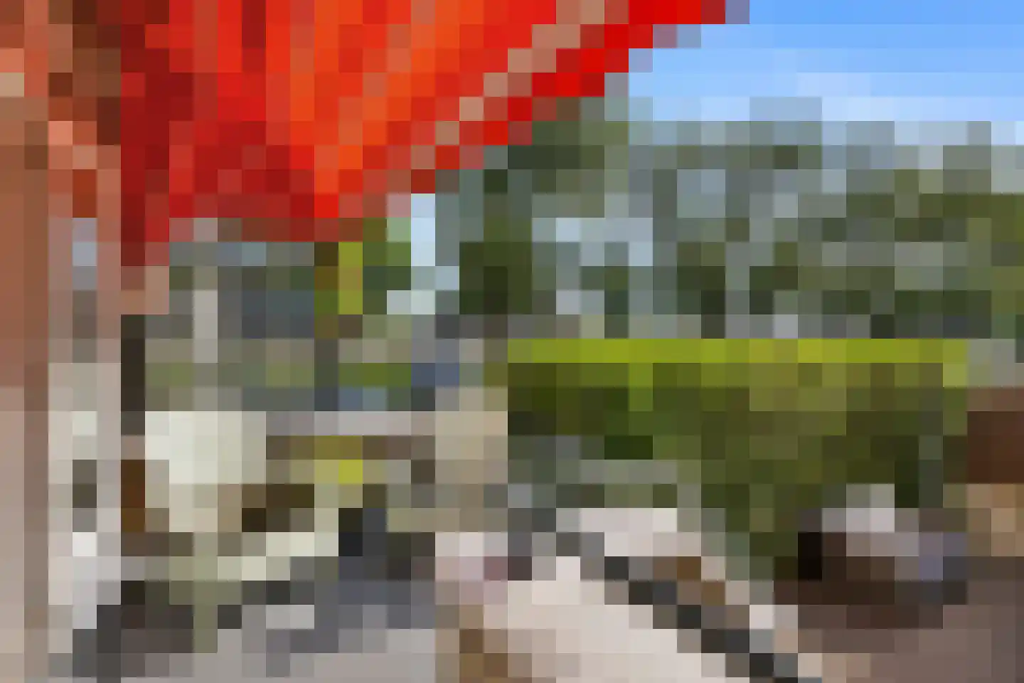 Karmelweg 1 A Rotterdam thumbnail 24