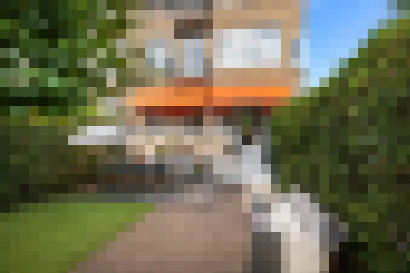 Karmelweg 1 A Rotterdam thumbnail 25