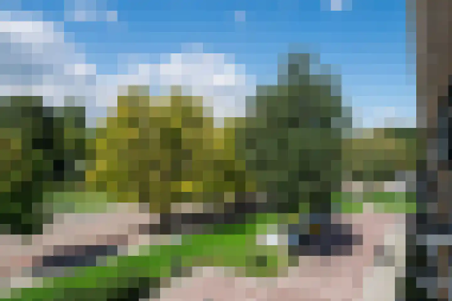 Karmelweg 7 C Rotterdam thumbnail 24