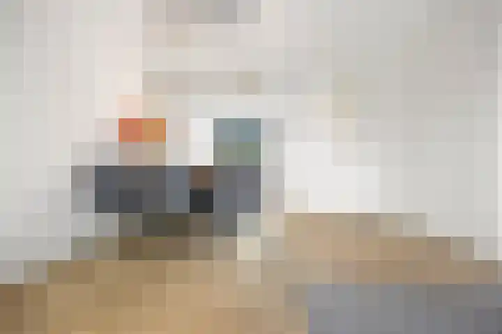 Karmijn 44 Winssen thumbnail 11