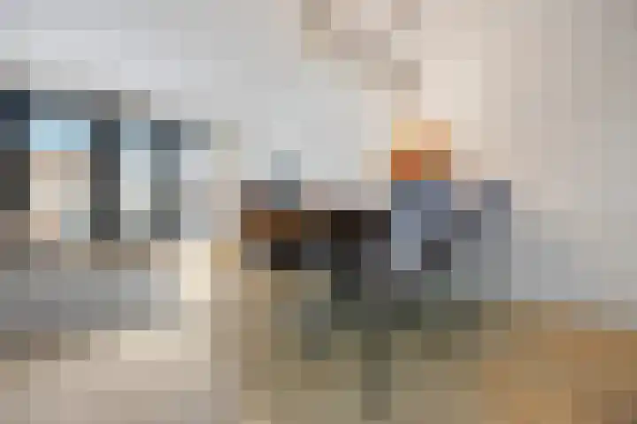 Karmijn 44 Winssen thumbnail 12