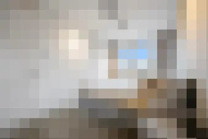 Karmijn 44 Winssen thumbnail 27