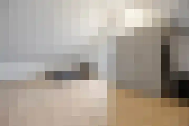 Karmijn 44 Winssen thumbnail 38