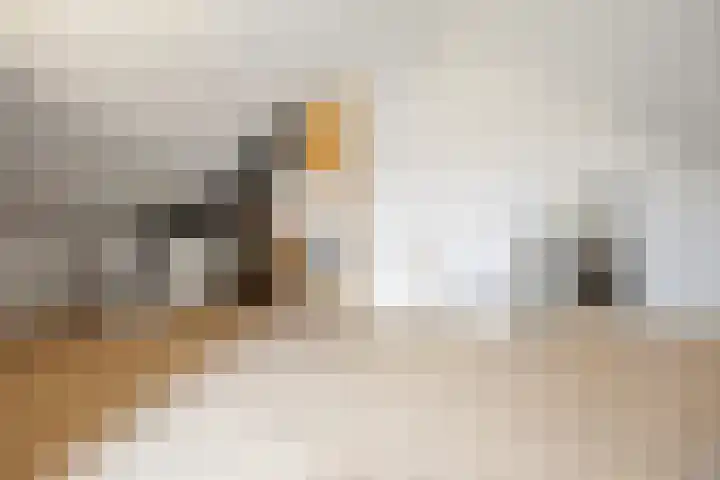 Karmijn 44 Winssen thumbnail 39