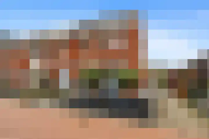 Karmijn 44 Winssen thumbnail 48