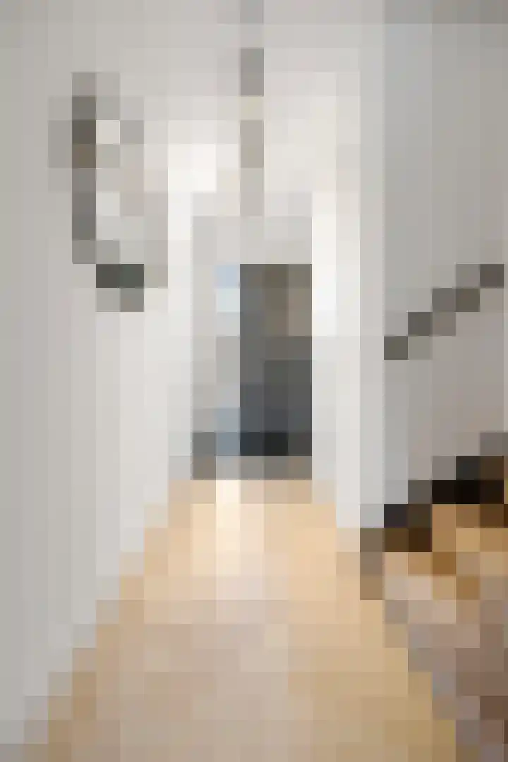Karmijn 44 Winssen thumbnail 5
