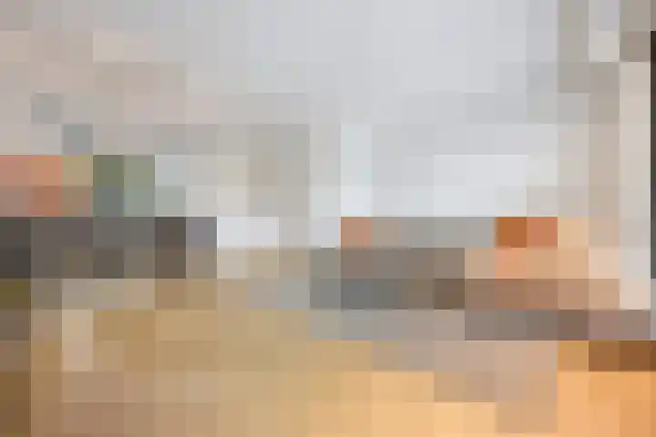 Karmijn 44 Winssen thumbnail 6
