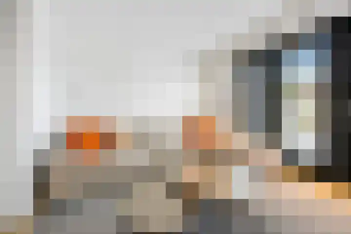 Karmijn 44 Winssen thumbnail 7